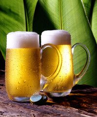 Cerveza