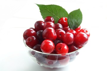 cherries in pot