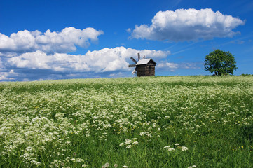 Landscape with mill