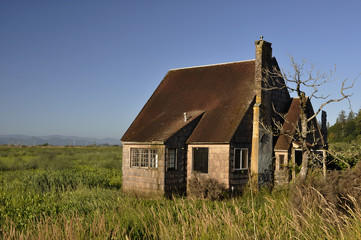old abandoned homestead