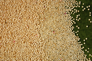 amaranth