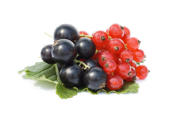 currant isolated on white background