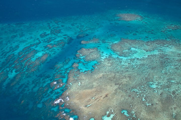 Fototapeta na wymiar Great Barrier Reef