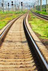 Naklejka premium View on summer railroad