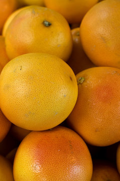 Grapefruit auf dem Wochenmarkt