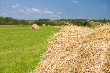 haystacks harvest against the skies