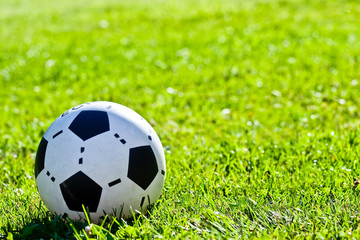 Soccer ball on grass field