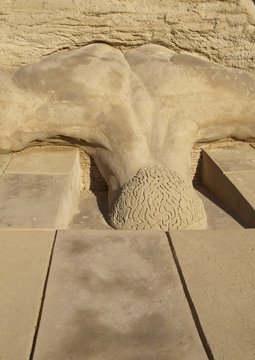 Kopf in den Sand stecken