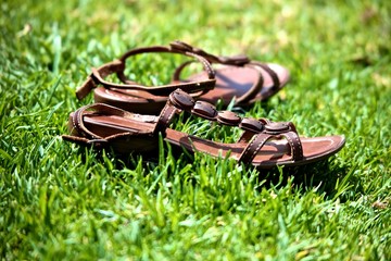 sandales de cuir brun sur la pelouse - obrazy, fototapety, plakaty