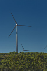 Windmil Farm