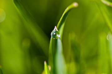 goccia d'acqua