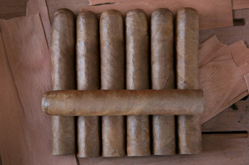 cigar