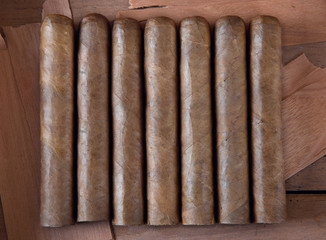 cigar