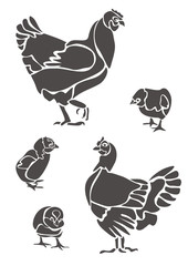 Куры и цыплята / Hens and Chickens