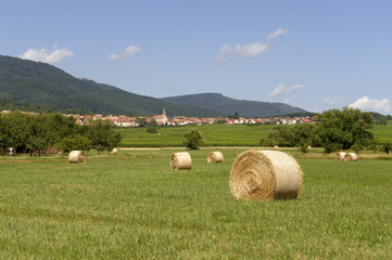 village de heiligenstein en alsace