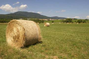 village de heiligenstein en alsace
