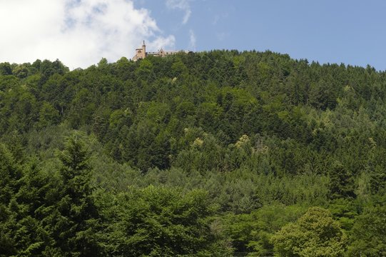 mont saint-odile en alsace