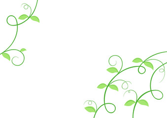 Obraz premium green summer frame