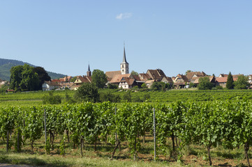 Fototapeta na wymiar village de średnich Bergheim en alsace