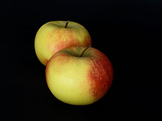 bio äpfel