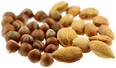noisettes et amandes, fond blanc