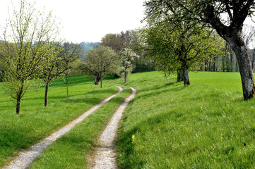 Die Straße ins Grüne