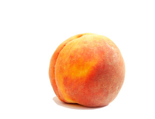 peach on a white background