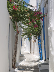 Pretty Village Walkway,Ios Island, Greece