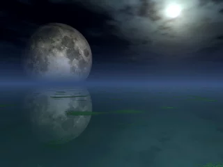 Fotobehang Volle maan en bomen Het uitzicht in de uitgestrektheid van de ruimte