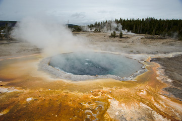 Geyser