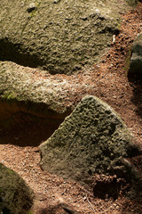 Felsenmeer Odenwald
