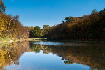 OLYMPUS DIGITAL CAMERA E-500