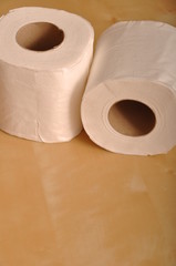 Toilet paper rolls
