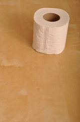 Toilet paper roll