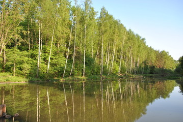 Obraz premium Природа