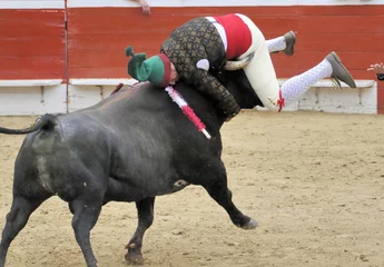 Crédence de cuisine en verre imprimé Tauromachie Fourche Rding Bull