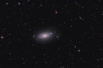 Spiral galaxy M63 