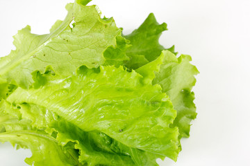 Salad leaves on a white