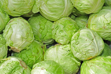 cabbage vegetable in the market