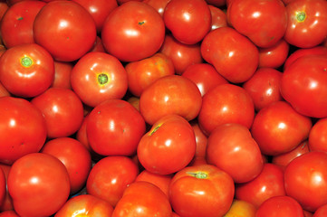 tomato fruit in the market
