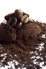 Coffee grains on the white