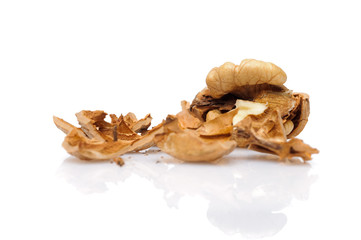 Walnut