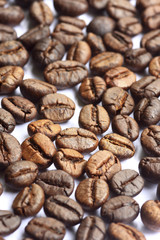 Coffee beans on a white background