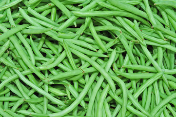 green bean in the markets
