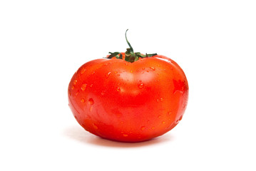 Single tomato