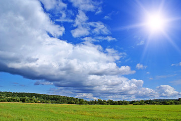 Summer landscape