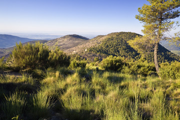 Sierra de Gredos