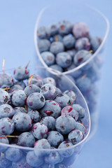 blueberries in the dish