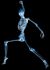 skeleton tango dance xray