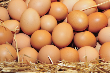 eggs